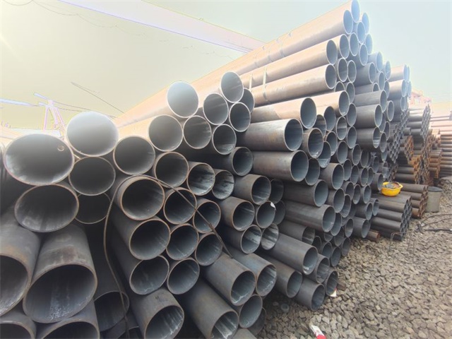 IMG_20230401_153141.jpg IMG_20230401_153141.jpg